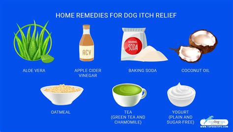 Top 5 Best Itch Relief For Dogs Remedies In 2020 Itching And Hots Spots