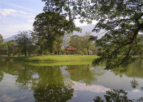 Many tourists today embark on 'food hunts' when in taiping, make the most of your holiday and be sure to experience all 50 of these. Things to do in Taiping with kids - Happy Go KL