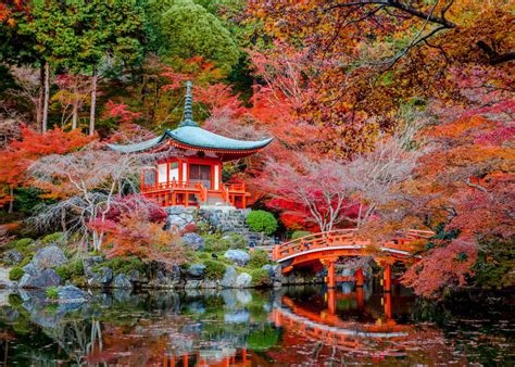 Brief Intro To Japanese Gardens Live Japan Travel Guide