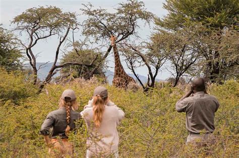 Yoga And Wildlife Retreat Namibia Dreams