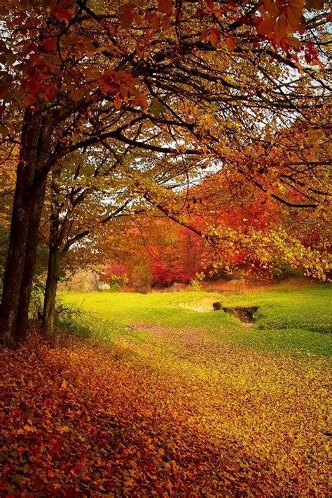 20 Free Amazing Autumn And Fall Wallpaper And Backgrounds If Youre