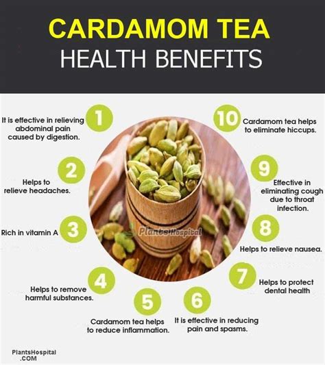 16 Incredible Health Benefits Of Cardamom Tea Uses And How To Brew
