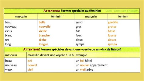 Pdf Le Feminin Et Masculin Des Adjectifs Pdf Télécharger Download