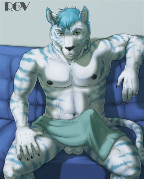 Rule 34 Anthro Balls Erection Feline Furry Male Male Only No Humans