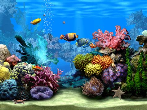 Living Marine Aquarium 2 Screensaver Download