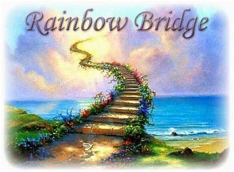 Sean Linnane Rainbow Bridge For Lefty