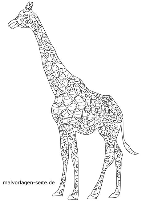 Malvorlage Tiermandala Giraffe Tiere Mandala Ausmalbilder Kostenlos