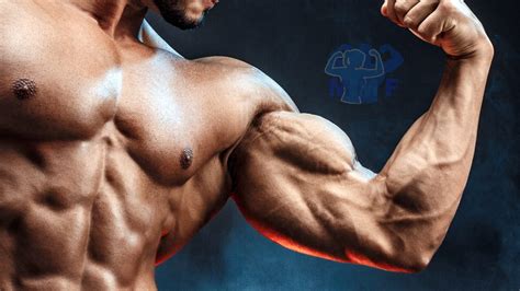 Biceps Best Exercises