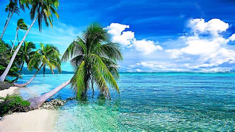Summer Background Tropical Beach With Palmiokean With Crystal Clear