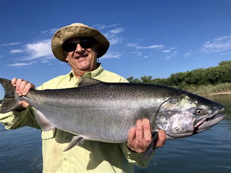2020 Sacramento River King Salmon Fishing — Jeff Goodwin Fishing