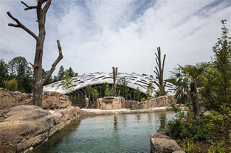 Markus Schietsch Architekten Caps Elephant Sanctuary With Timber