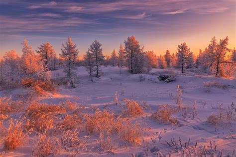 Winter Sunset In Russia · Free Photo