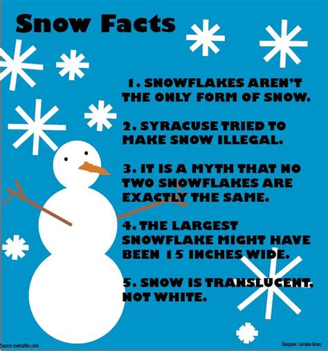 Snow Facts The Leaf