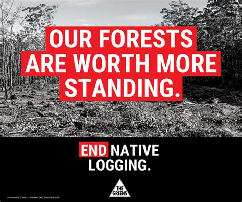 Whats The Issue With Logging Native Forests End Native Logging