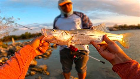 Pescando Buenos Robalos 🐟 De Tarde 💥 Pesca De Orilla En Telchac