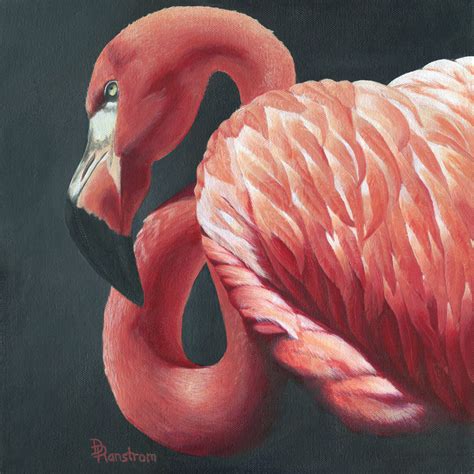 Pink Flamingo Acrylic Painting Diana Ranstrom Art