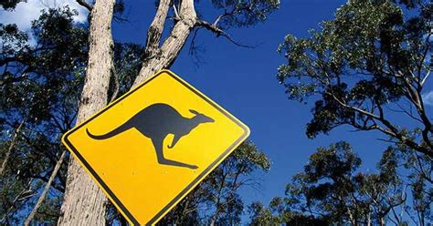 20 Interesting Facts About The Land Down Under