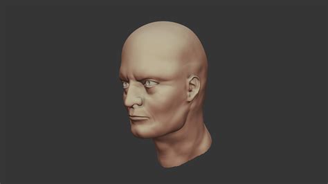 Stylized Male Head 3d Model By Markusproud 73ed2e1 Sketchfab