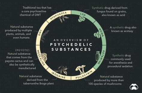 Visualizing The History Of Psychedelics Part 1 Zerohedge
