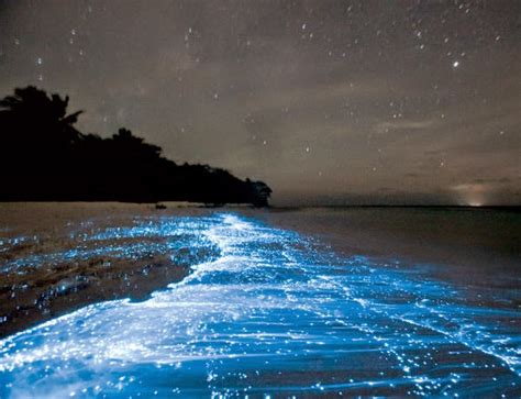 Glowing Footsteps On The Beach On Vaadhoo Island Maldives