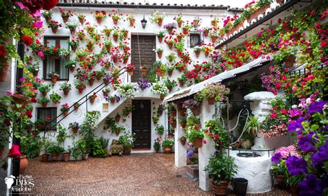 The Courtyards Festival Of Cordoba World Heritage Turismo De Córdoba