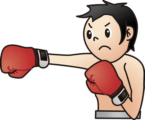 Boxer Is Boxing Clipart Free Download Transparent Png Creazilla