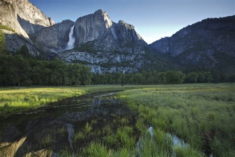 Beautiful Yosemite Morning Photorator