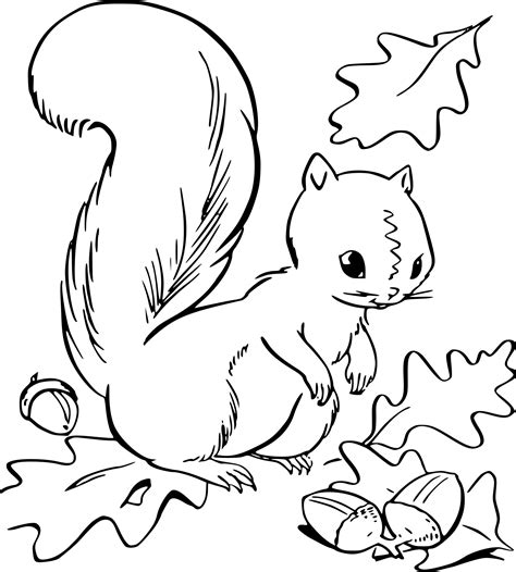 Coloriage Automne Maternelle Beau Image Coloriage Automne Primaire à