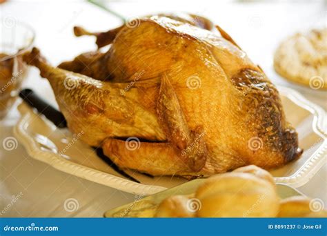 Turkey Dinner Stock Image Image Of Feast Holdays Poultry 8091237