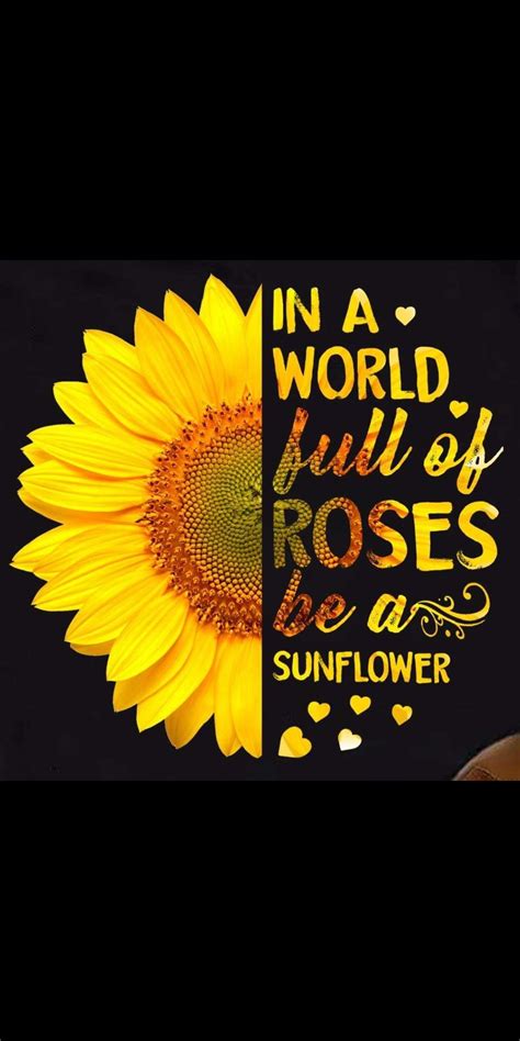 Pin By Janet On Flowers  Sunflower Quotes Cute Quotes Words My Xxx