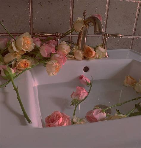 We did not find results for: Lana Del Rey Aesthetics 🍒 | Aquarius aesthetic, Pastel ...
