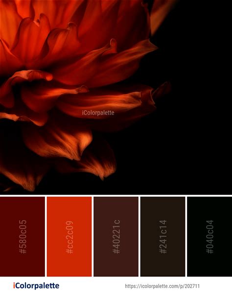 Colors That Match With Orange And Black Zina Manson