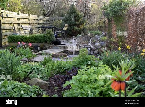 Scottish Country Garden In Early Spring Stock Photo Alamy