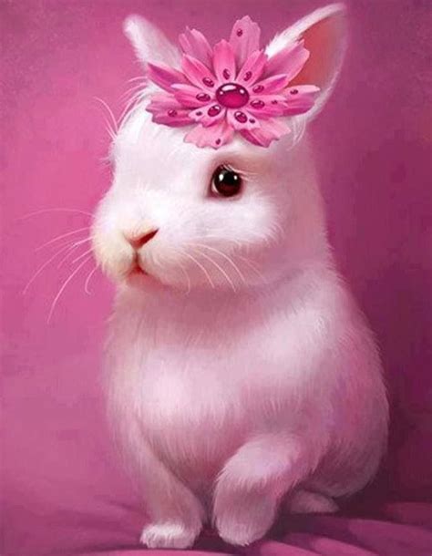 Pin By Natalia On Animals Cute Animals Cute Bunny Cute Pink