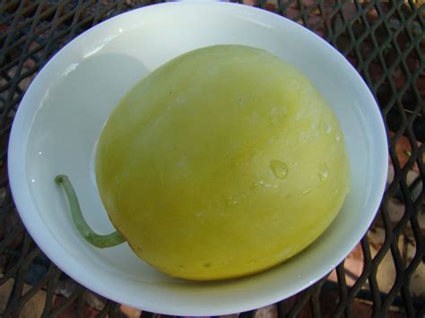 Rurification Melon Sakatas Sweet