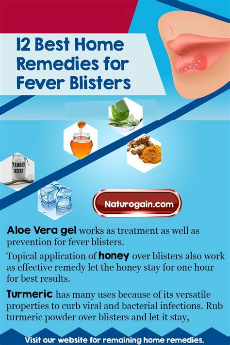 12 Easy And Best Home Remedies For Fever Blisters That Work Home
