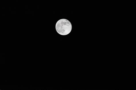 Darkness Moon Full Free Photo On Pixabay Pixabay