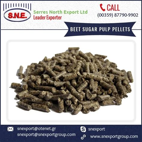 Beet Sugar Pulp Pellets High Density 14 Inch Pellets Formed From Dried