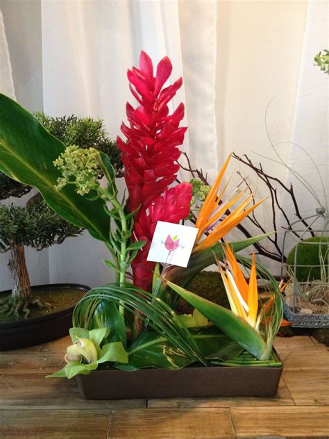 The caribbean areas include bahama islands, bermuda, haiti, jamaica, barbados, antigua, guyana, cayman islands all of the florist delivered flowers arrangements and plants shown in the main section of the site can be delivered same day to most areas in the us virgin. #flowers #pr #sanjuan #gifts #puertorico #beautiful # ...