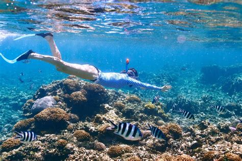 Of The Best Oahu Snorkeling Spots Private Homes Hawaii