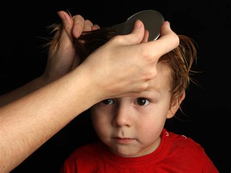 What You Need To Know About Head Lice