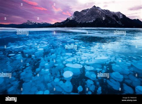 Frozen Bubbles Alberta Hi Res Stock Photography And Images Alamy