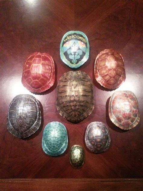 Best Painted Turtle Shells Images On Pinterest Turtle Shells