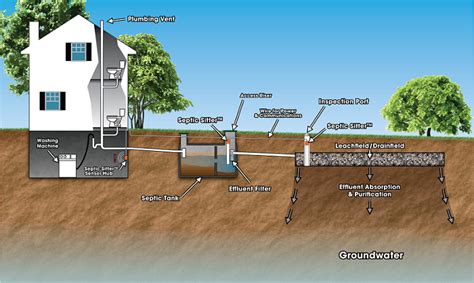 Septic Tanks Disclosure What Do You Need To Know Dodd Babe Of Real Estate