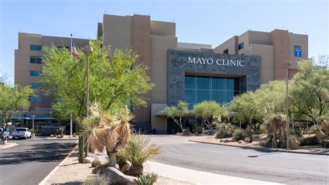 Mayo Clinic Sees Ai As ‘transformative Force In Health Care Appoints