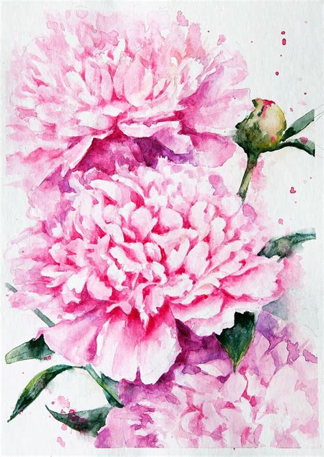 Peonies Pink Series On Behance Peony Painting Flower Art