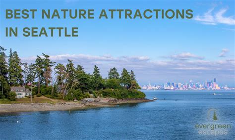 Best Nature Attractions In Seattle Evergreen Escapes