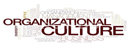 Prime Principles Of Organizational Culture