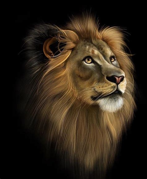 Lion Digital Painting 45x30 Rart