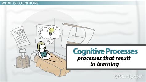 Cognitive Processes In Learning Types Definition And Examples Video